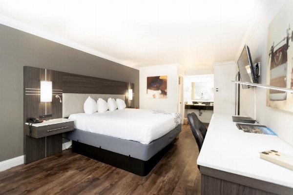 Rodeway Inn San Jose HWY-101 Tully Rd Exit image 20