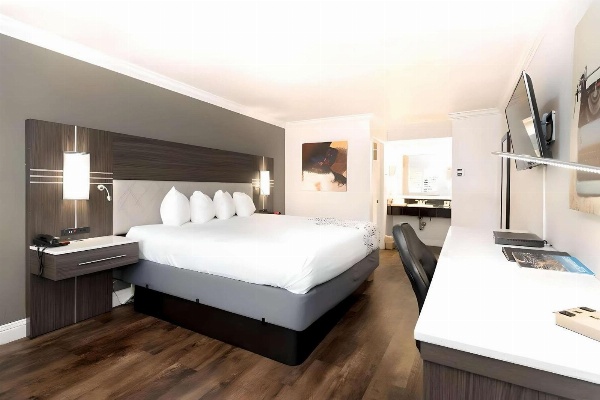 Rodeway Inn San Jose HWY-101 Tully Rd Exit image 6